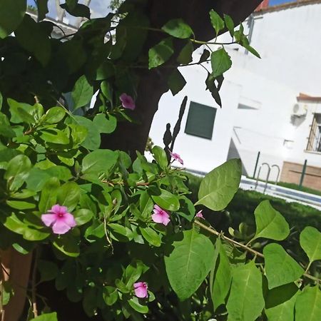Casa Turquesa Villa Valencina de la Concepción Buitenkant foto