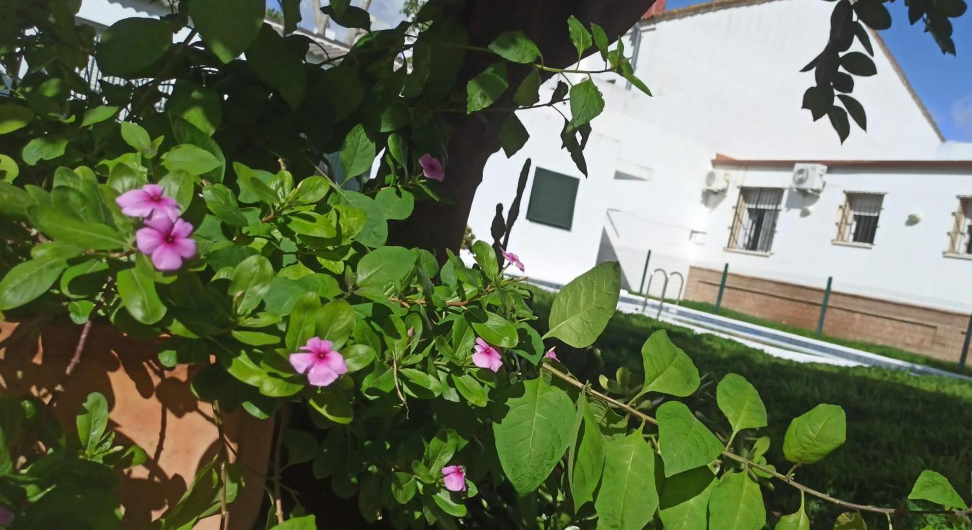 Casa Turquesa Villa Valencina de la Concepción Buitenkant foto